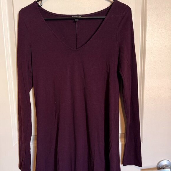 Express Dresses & Skirts - Express Longsleeve V-Neck Dress
